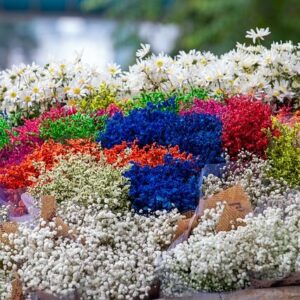 blumenmarkt